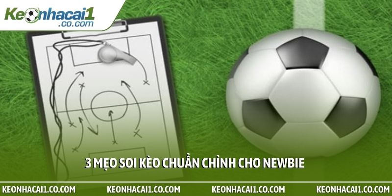 3 mẹo soi kèo chuẩn chỉnh cho newbie