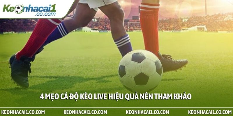 4 mẹo cá độ kèo live hiệu quả nên tham khảo