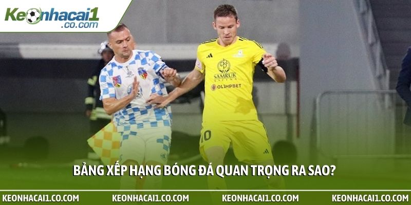 Bảng xếp hạng bóng đá quan trọng ra sao?