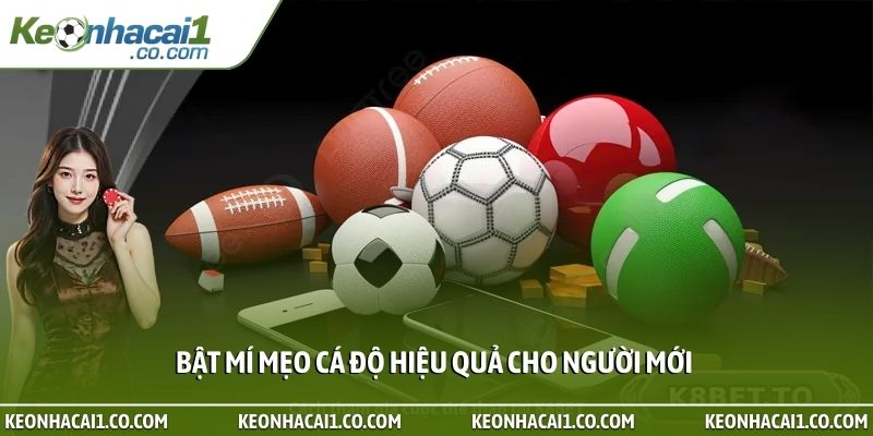 Bật mí mẹo cá độ hiệu quả cho người mới