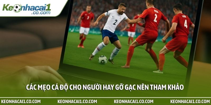 Các mẹo cá độ cho người hay gỡ gạc nên tham khảo