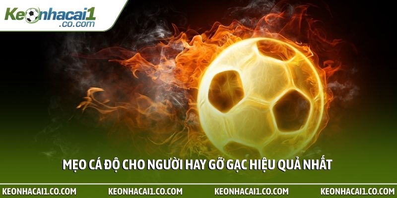 Mẹo cá độ cho người hay gỡ gạc hiệu quả nhất