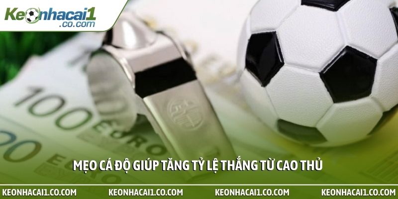 Mẹo cá độ giúp tăng tỷ lệ thắng từ cao thủ