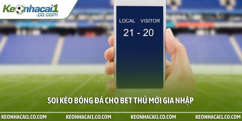 Soi kèo bóng đá cho bet thủ mới gia nhập