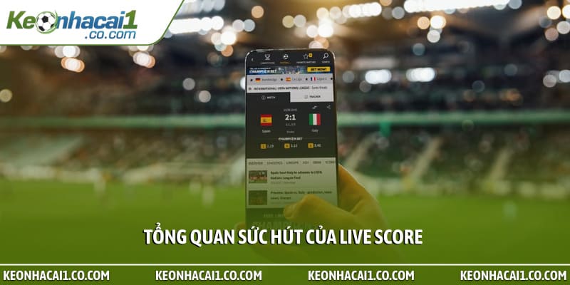 Tổng quan sức hút của Live Score