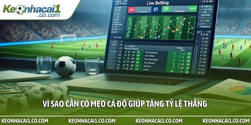 Vì sao cần có mẹo cá độ giúp tăng tỷ lệ thắng